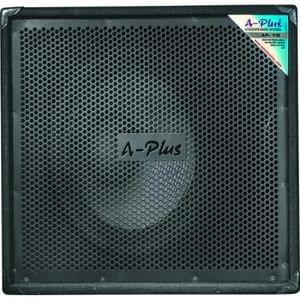 A Plus AP-118 Loudspeaker System